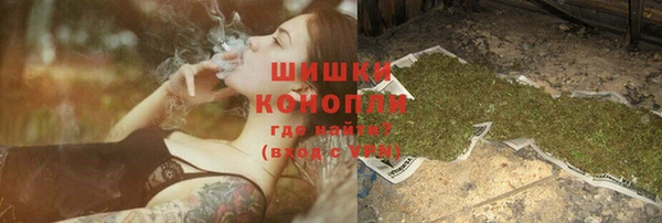 таблы Гусев