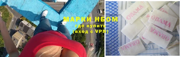 таблы Гусев