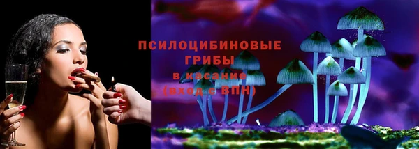 mdpv Гусь-Хрустальный
