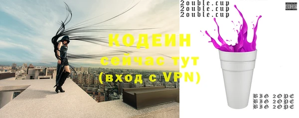 таблы Гусев