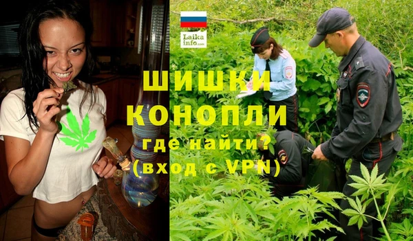 таблы Гусев