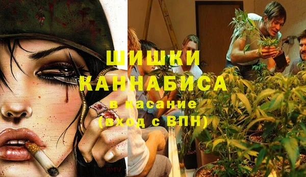 таблы Гусев