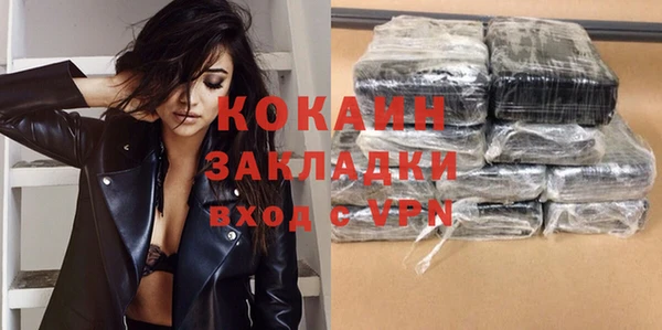 таблы Гусев